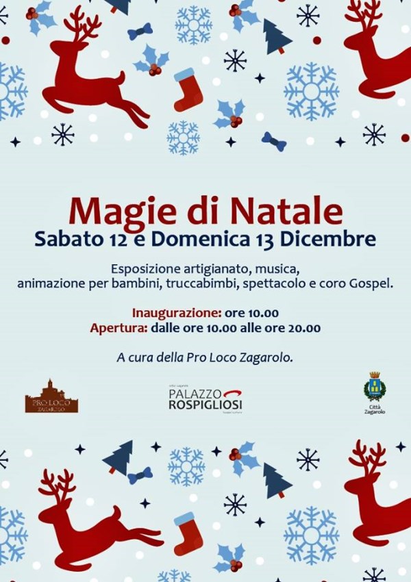 12-13 Dicembre – Magie di Natale @ Palazzo Rospiglisi