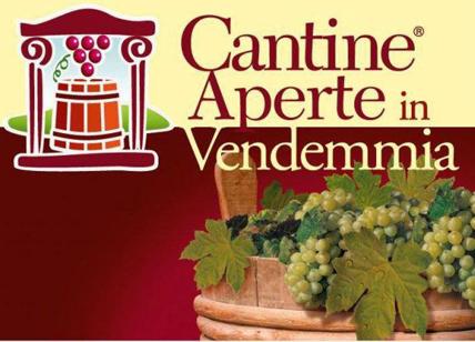 Domenica 25 Settembre – Cantine Aperte in Vendemmia – Cantina del Tufaio