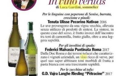 Roma – In Vino Veritas