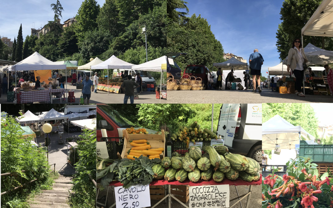 Mercato contadino – Luogo di riuso e cultura contadina solidale