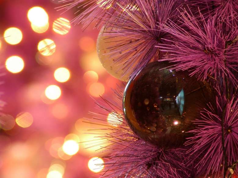 7 Dicembre: accendiamo di rosa il nostro Natale!