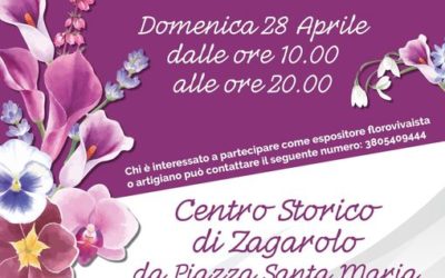 Zagarolo in Fiore 2024: Una Festa di Colori nel Cuore del Centro Storico